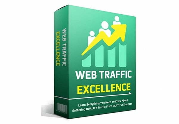 Web-Traffic-Excellence_600x394