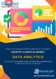 11. Industry Career Blueprint - Data Analytics